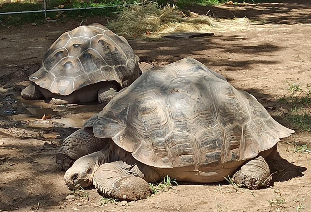 Barcelona Zoo Barcelona Zoo