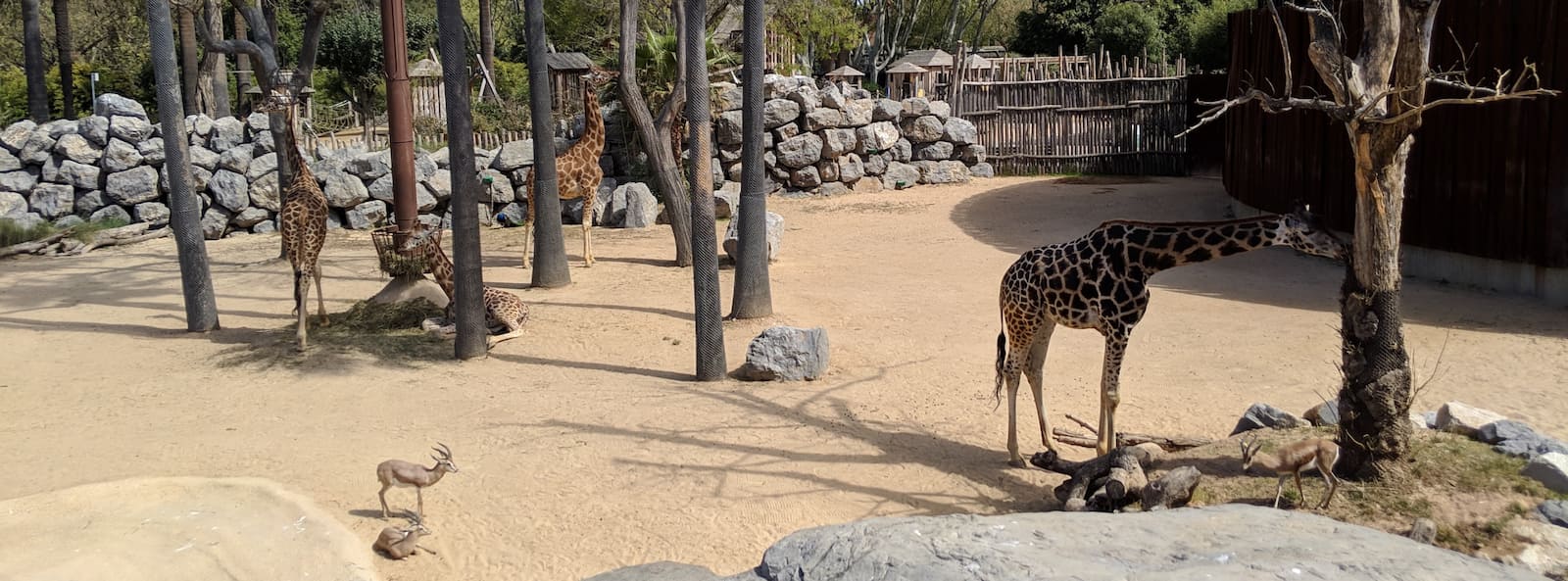 Barcelona Zoo Barcelona Zoo