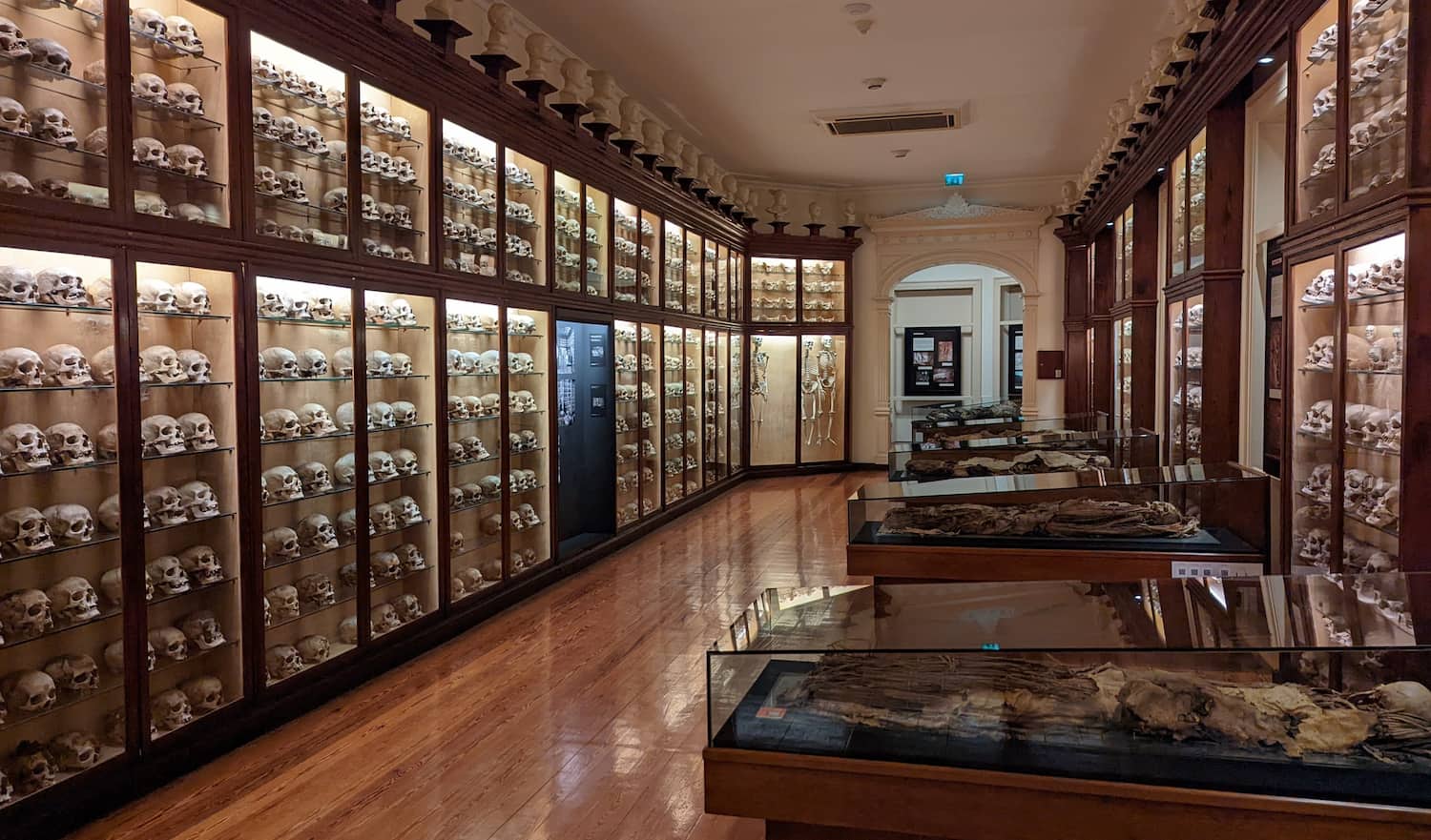Canarian Museum Canarian Museum