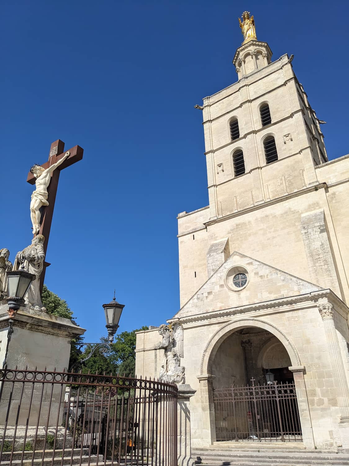 Avignon Cathedral