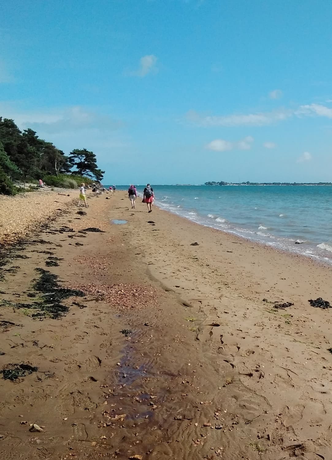 Brownsea Island
