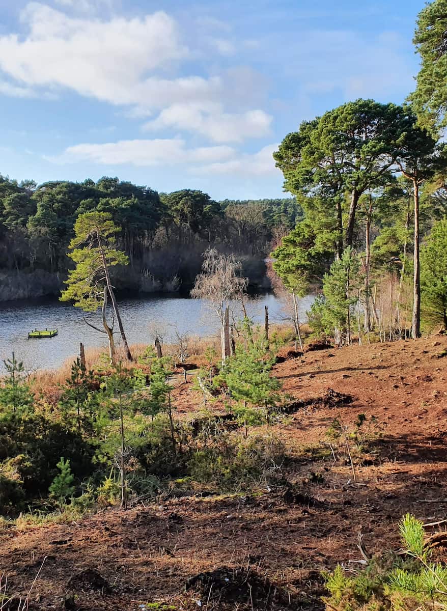 Brownsea Island