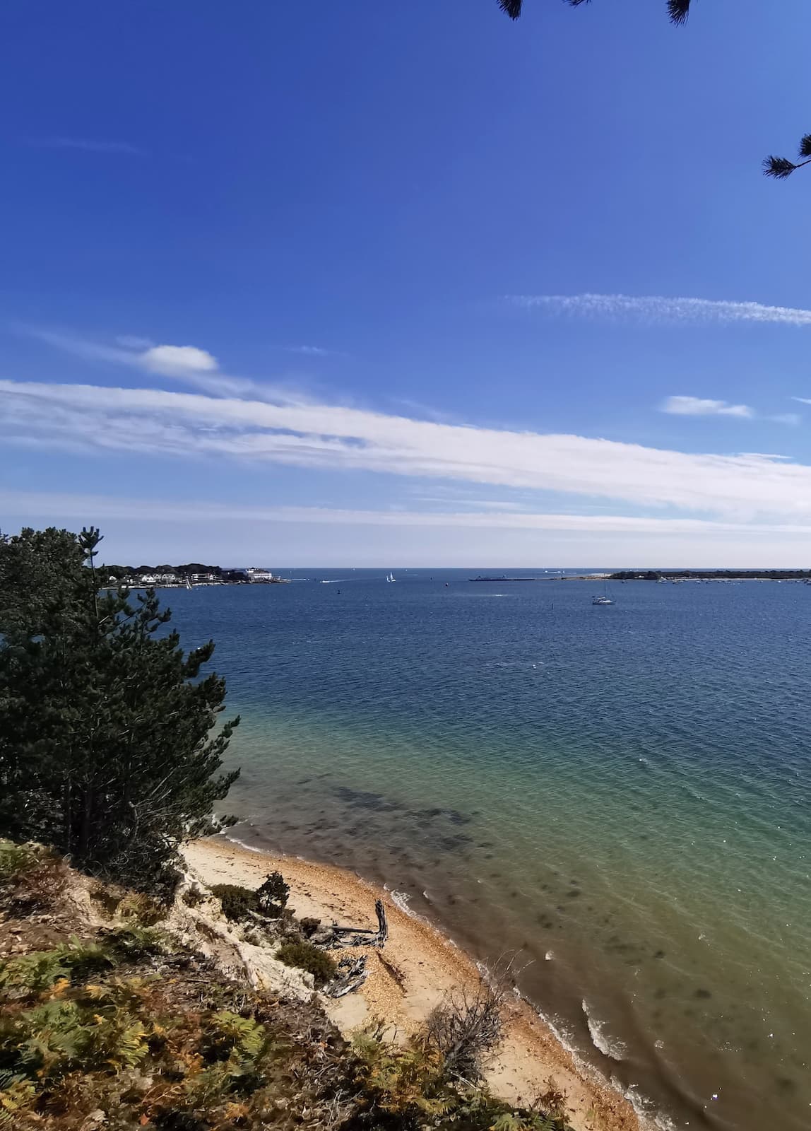 Brownsea Island
