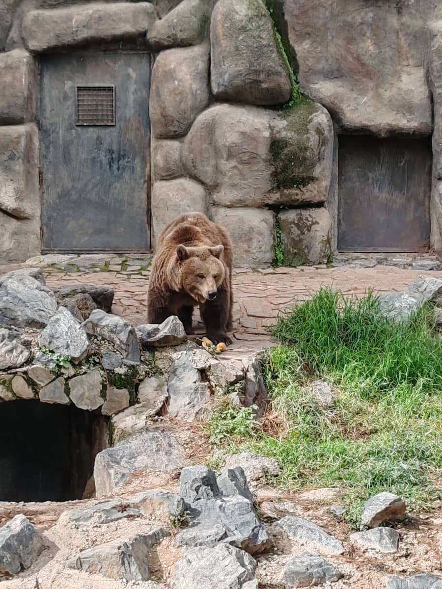 Córdoba Zoo