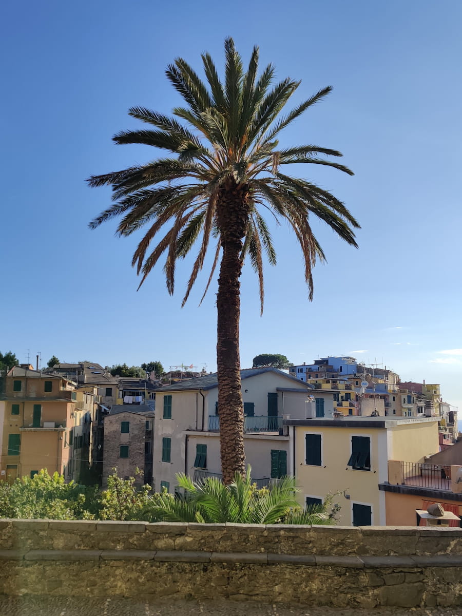 Corniglia