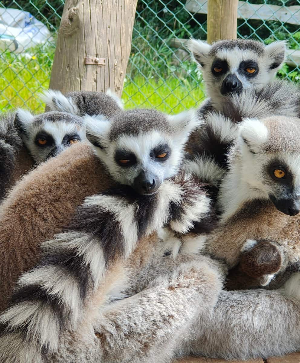 Eindhoven Zoo