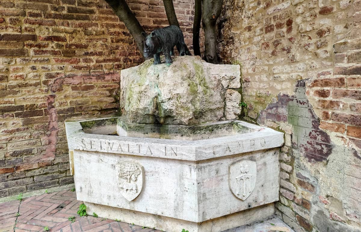 Fontana Contrada Selva