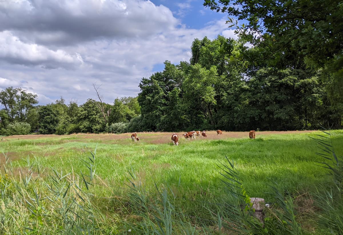 Genneper Parks Eindhoven