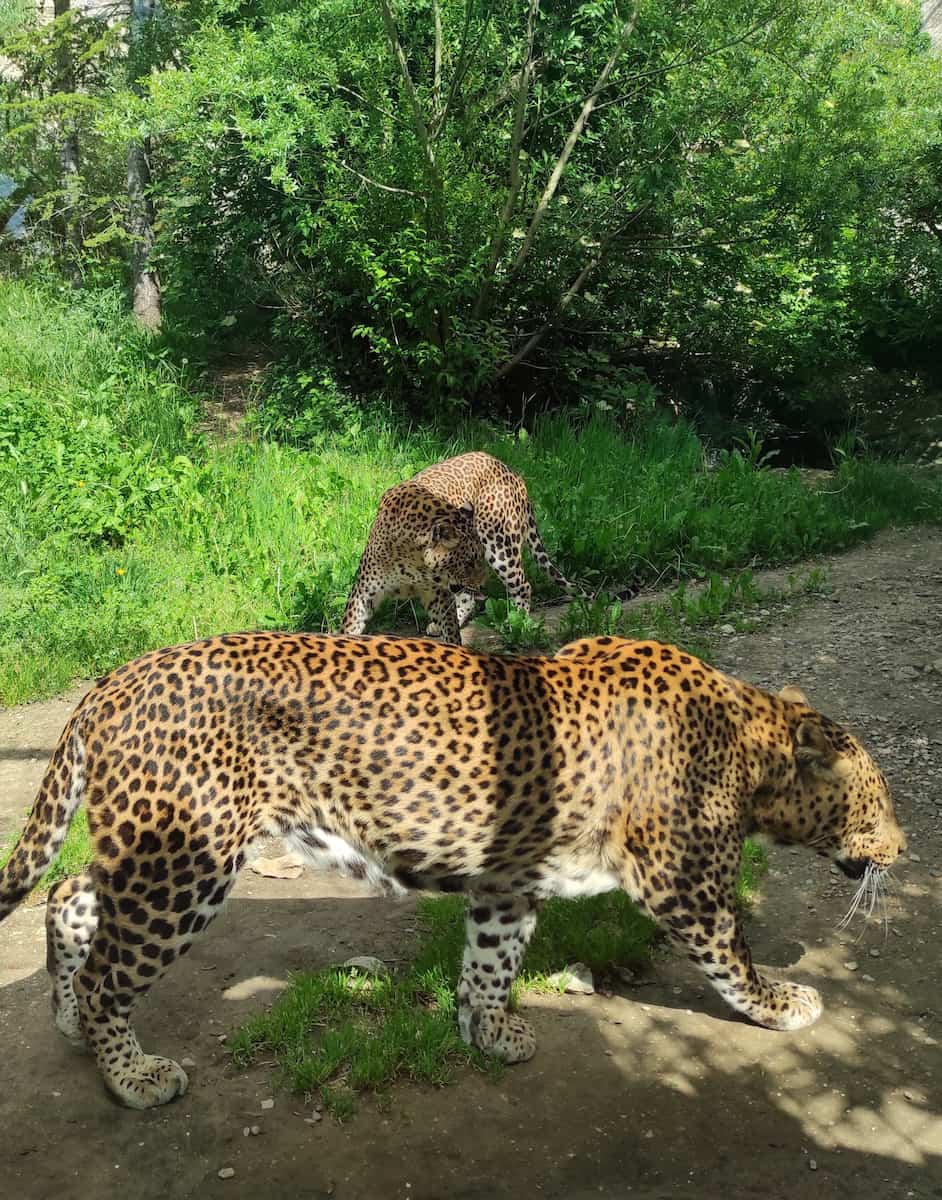 La Barben Zoo