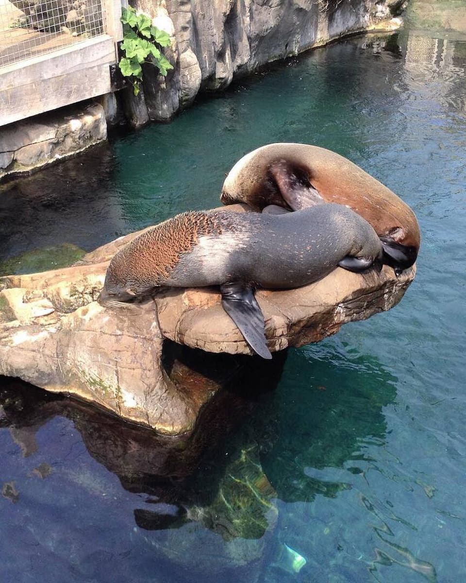 Living Coasts Torquay