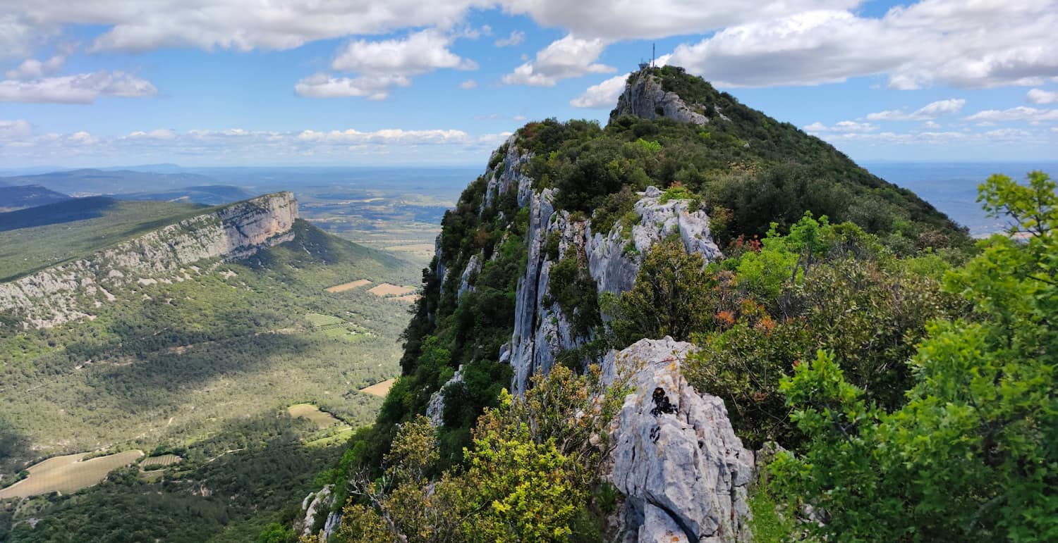 Pic Saint-Loup