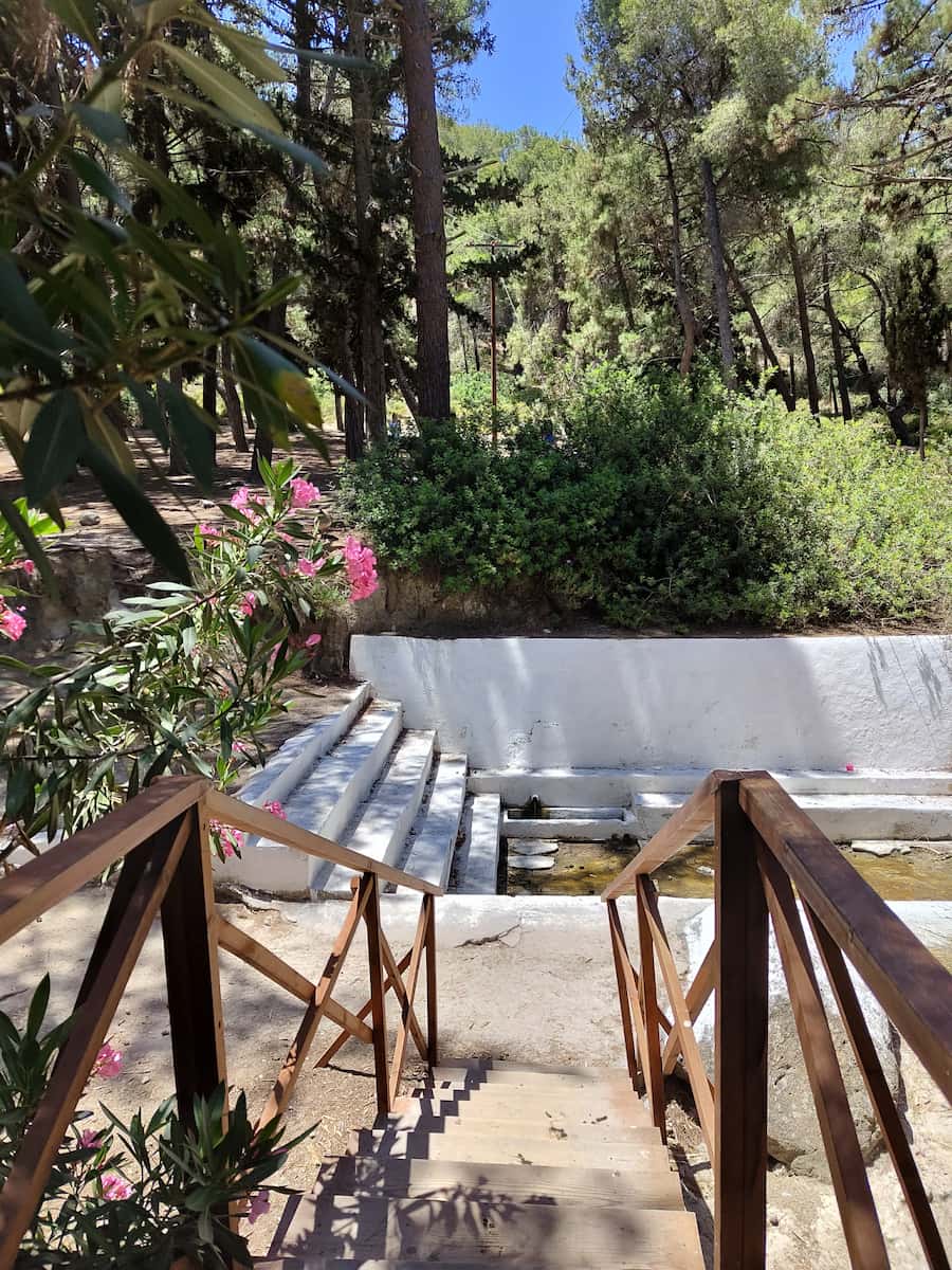 Plaka Forest Kos