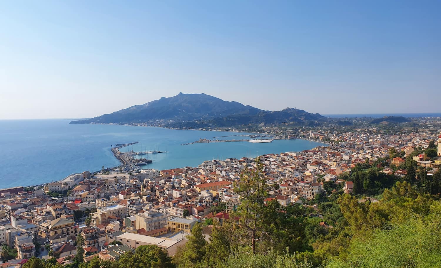 Spring Zante