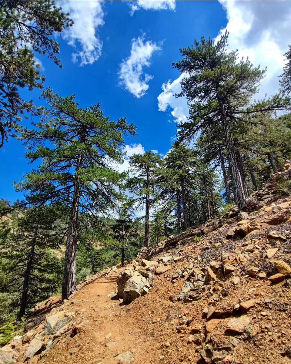 Troodos Mountains