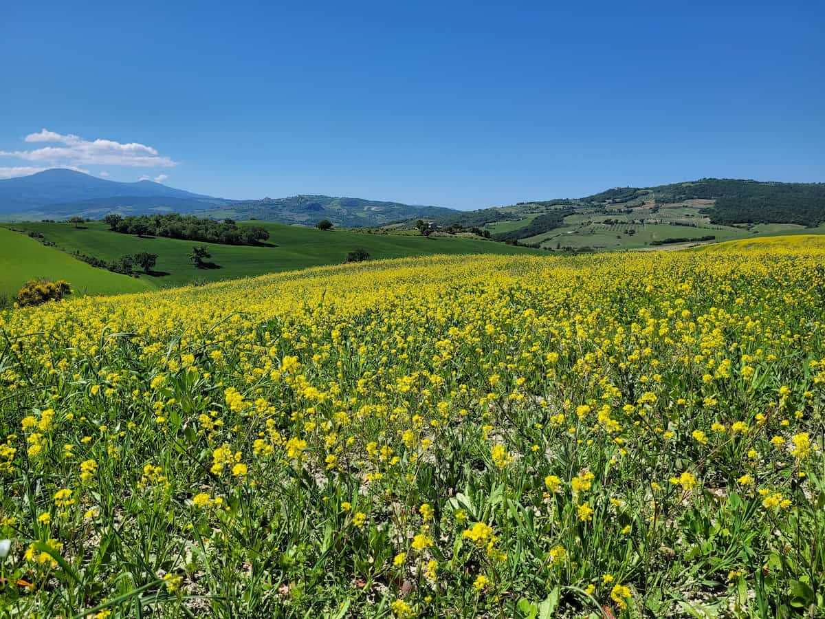 Val d'Orcia Italy