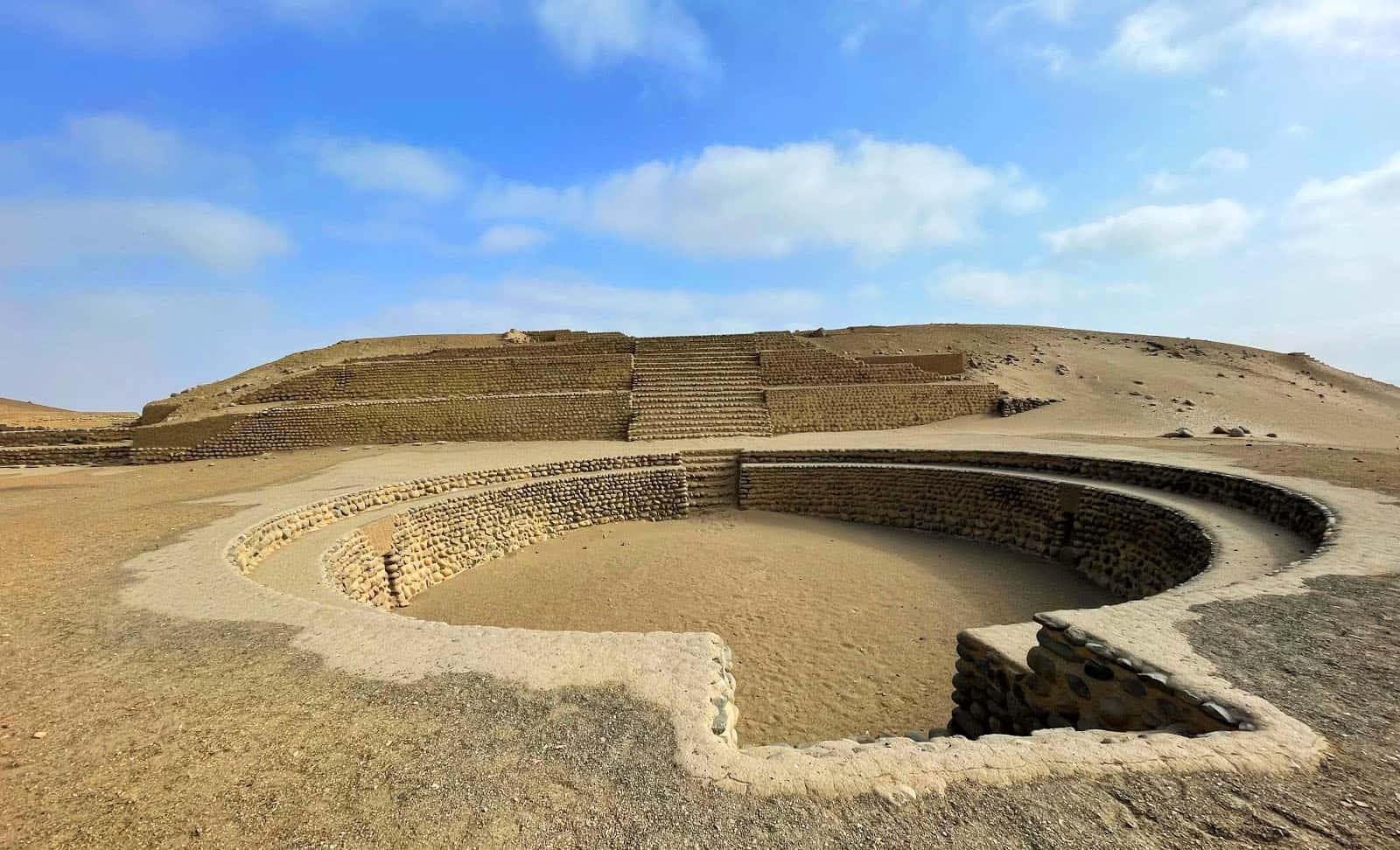 Bandurria, Lima Bandurria, Lima