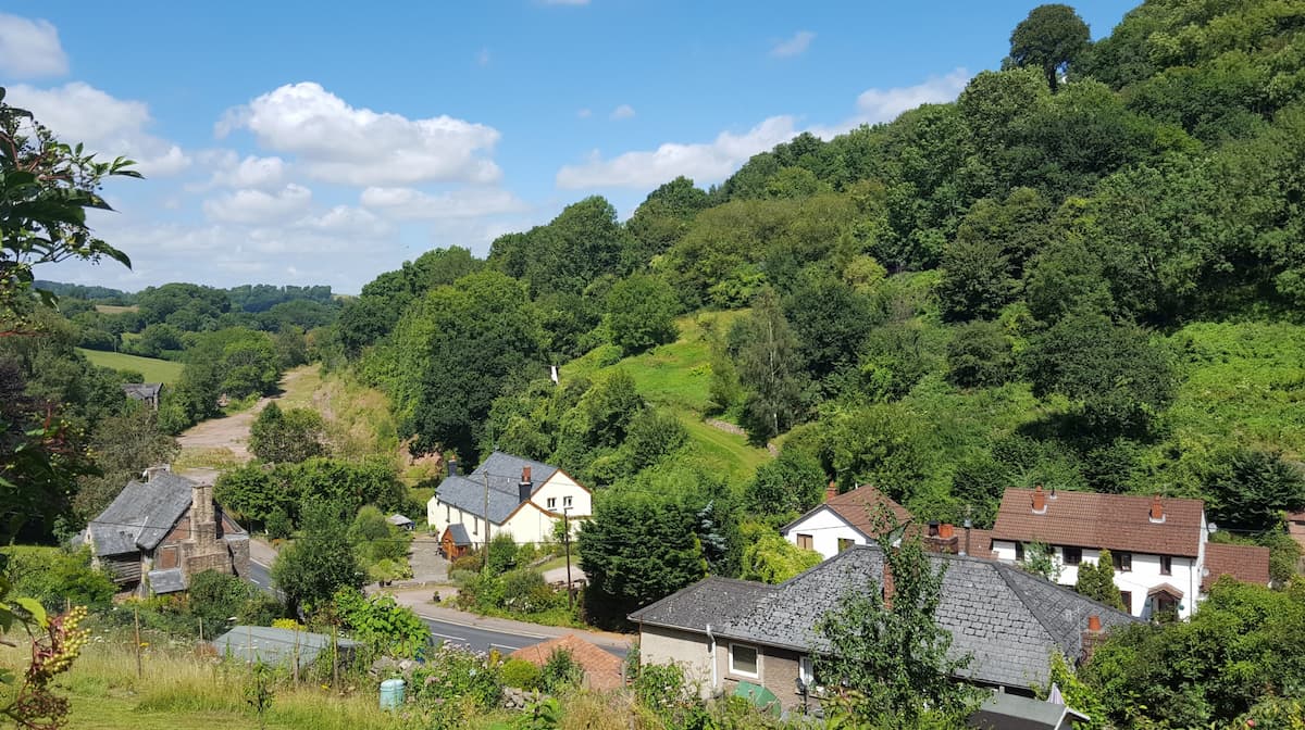 Forest of Dean Bristol Forest of Dean Bristol