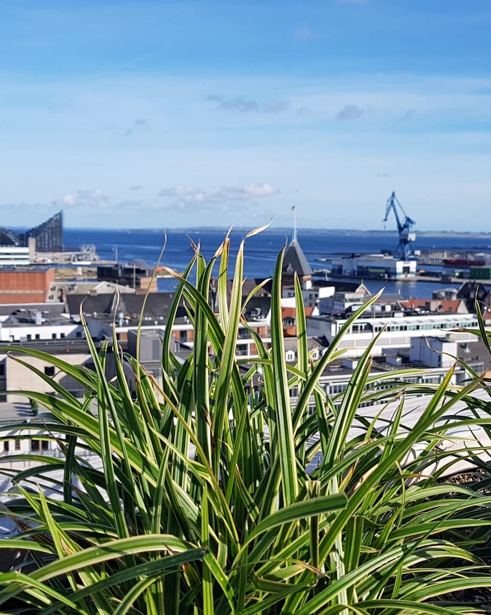 Salling Rooftop