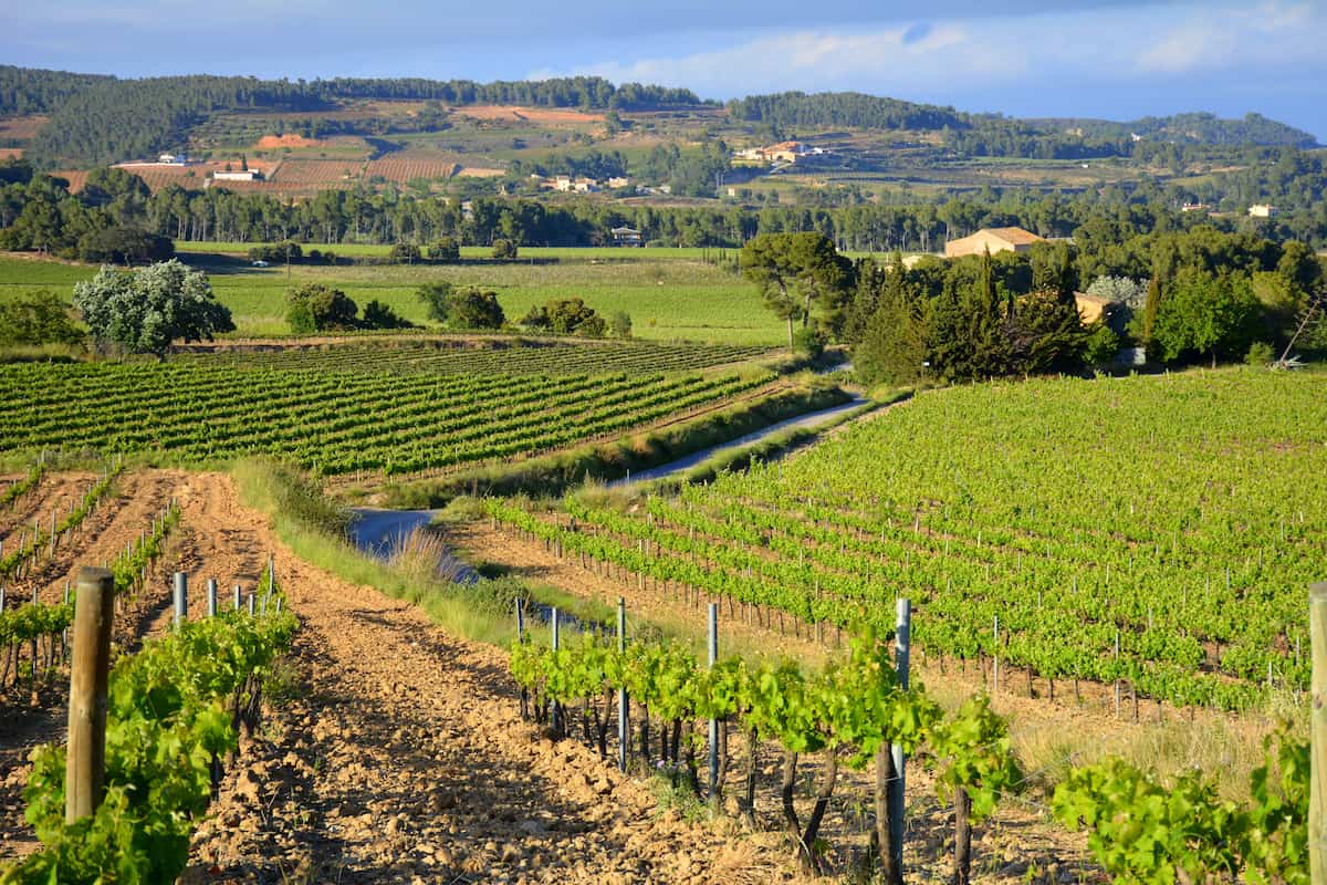 Spain, Penedès Spain, Penedès