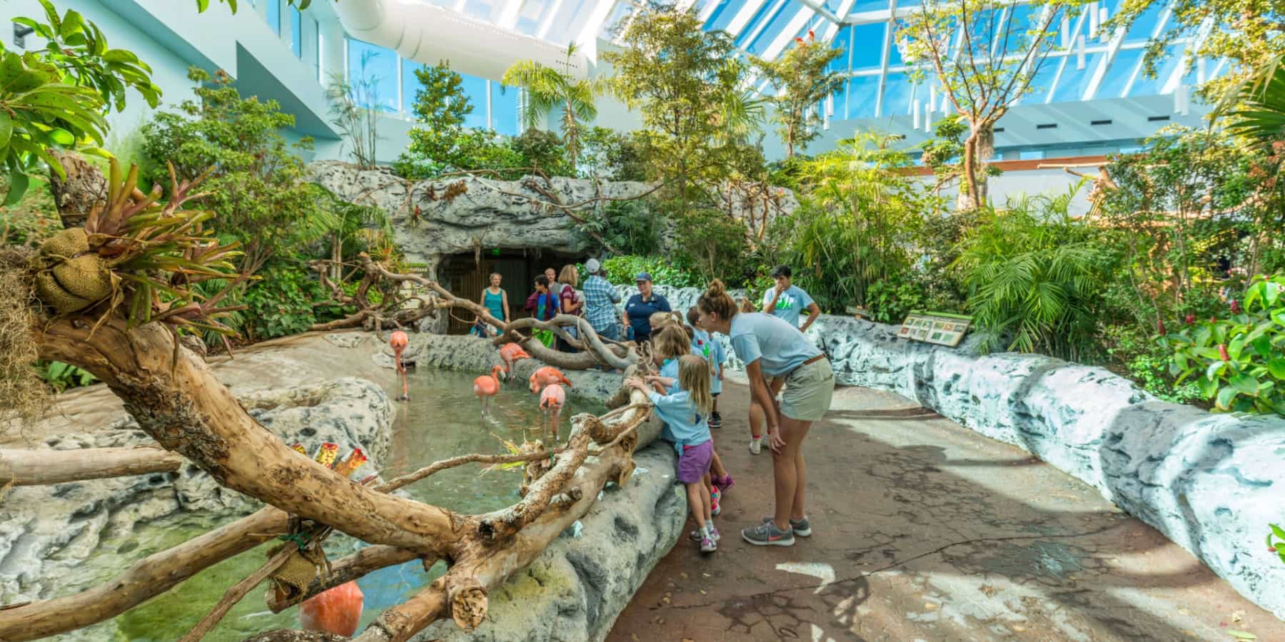 Texas State Aquarium, Dallas Texas State Aquarium, Dallas