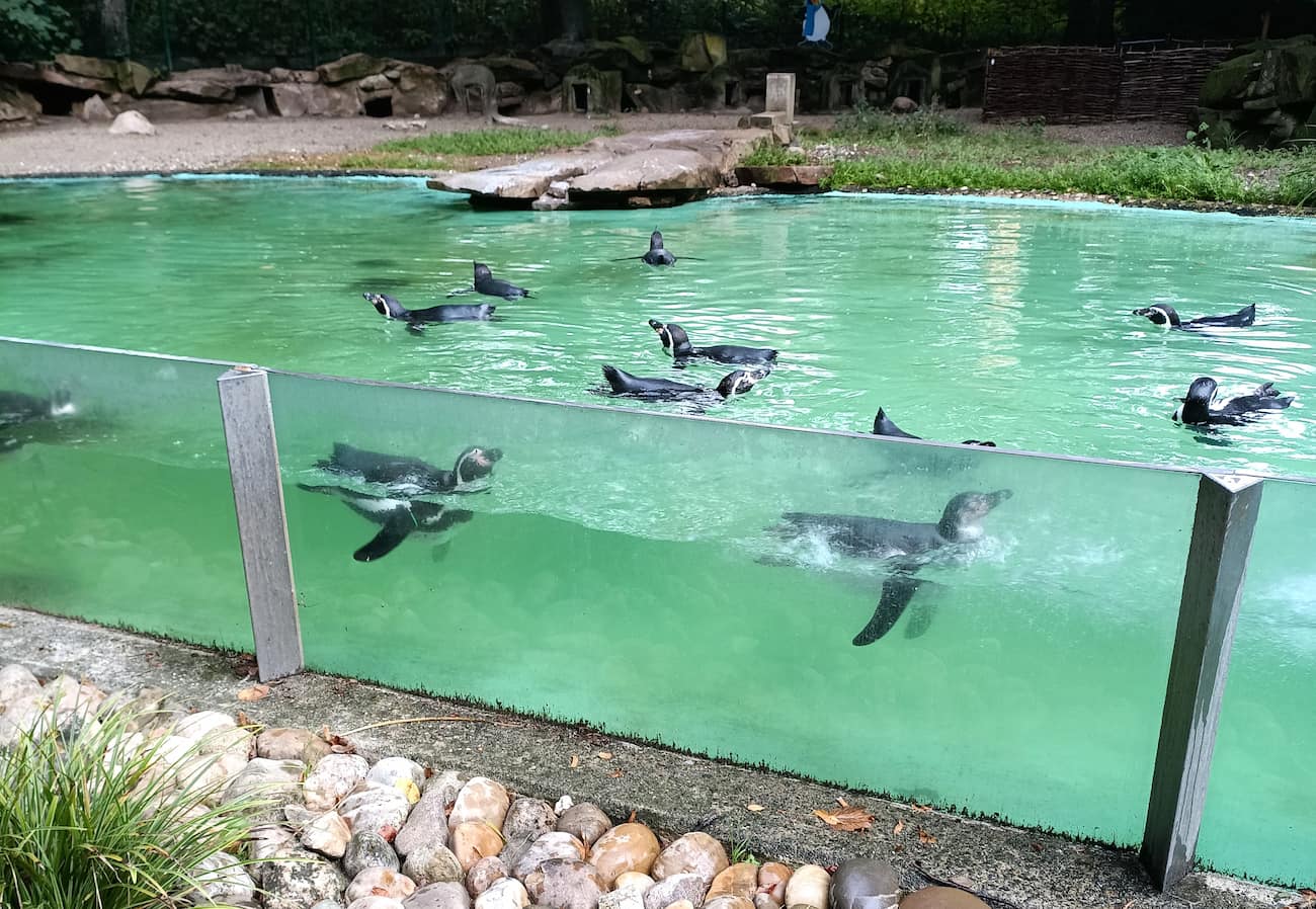 Dortmund Zoo Dortmund Zoo