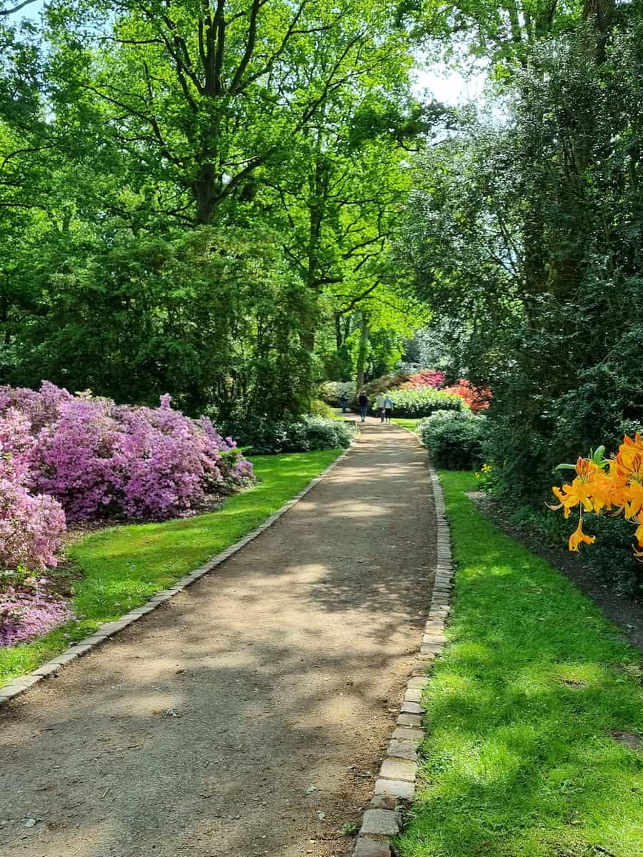 Rhododendron-Park, Bremen Rhododendron-Park, Bremen