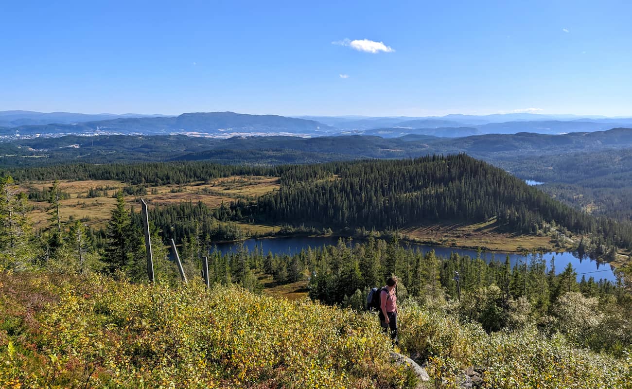 Bymarka, Trondheim