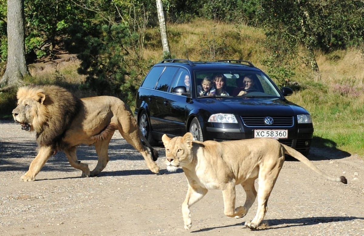 Givskud Zoo