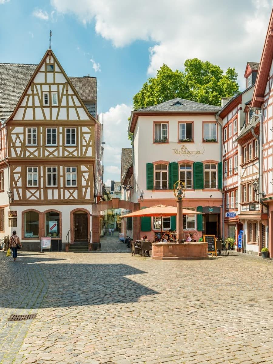 Kirschgarten, Mainz
