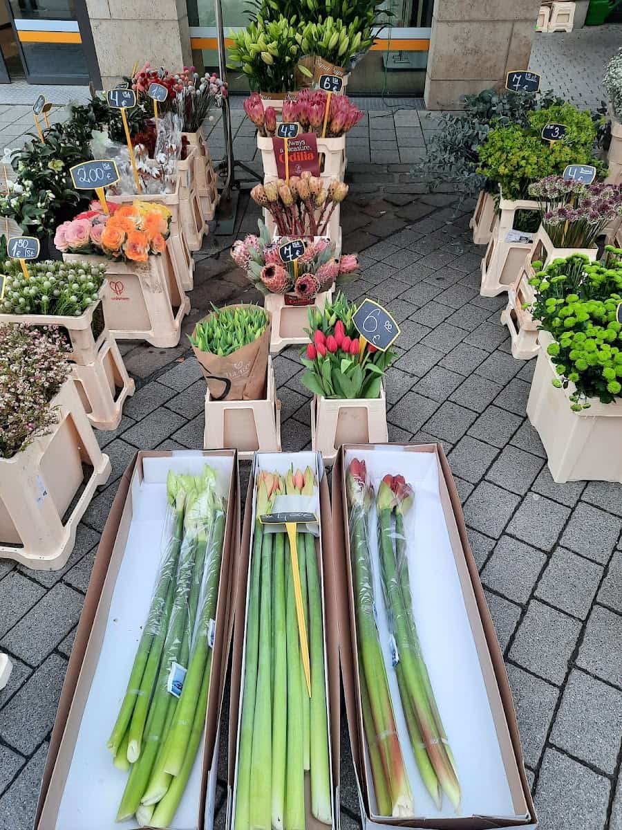 Market Schlossplatz, Wiesbaden Market Schlossplatz, Wiesbaden