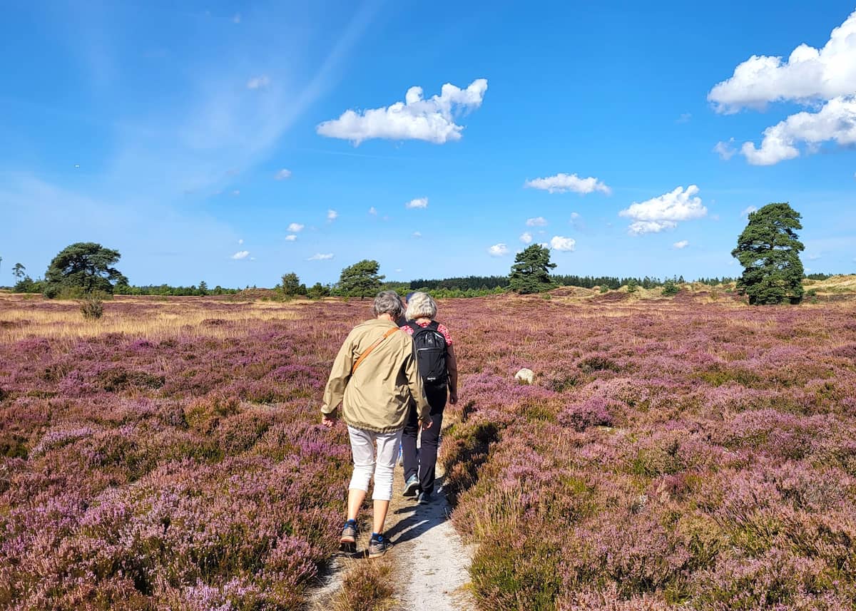 Nature Trails & Hiking Areas around Billund