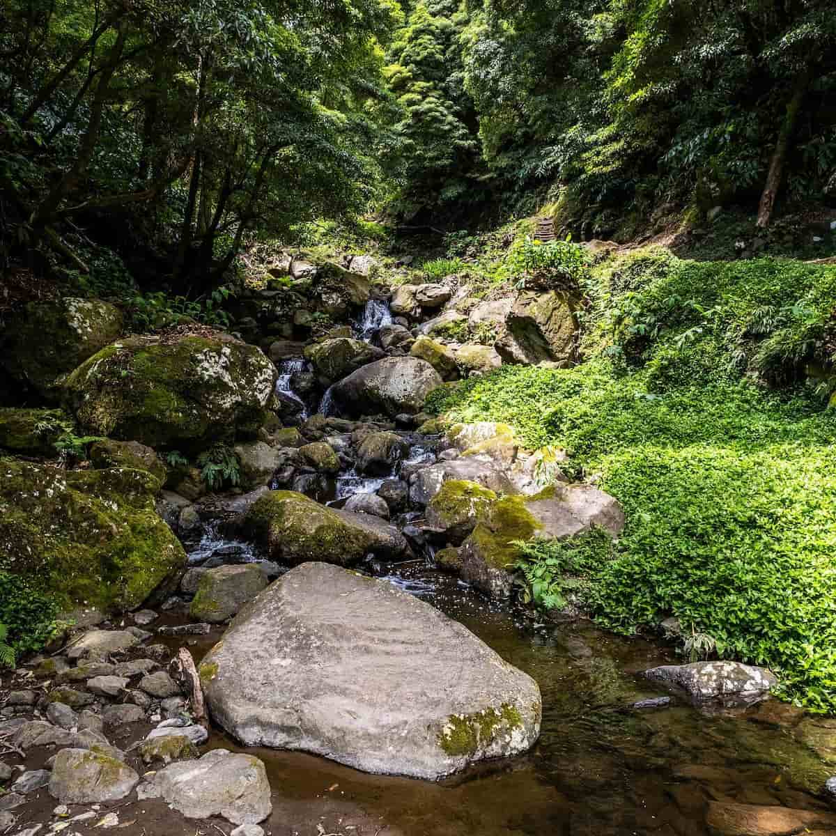 Ribeira do Faial da Terra