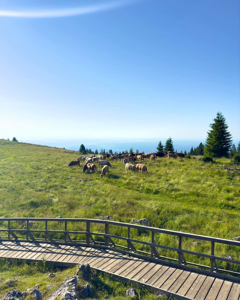 Schöckl Mountain