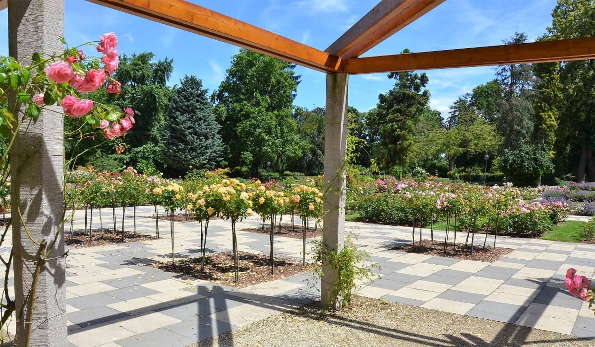 Stadtpark, Mainz