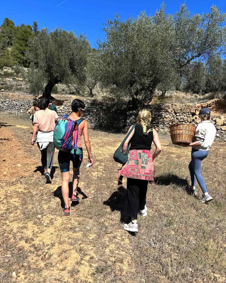 Via Verda Cycling Route, Mallorca