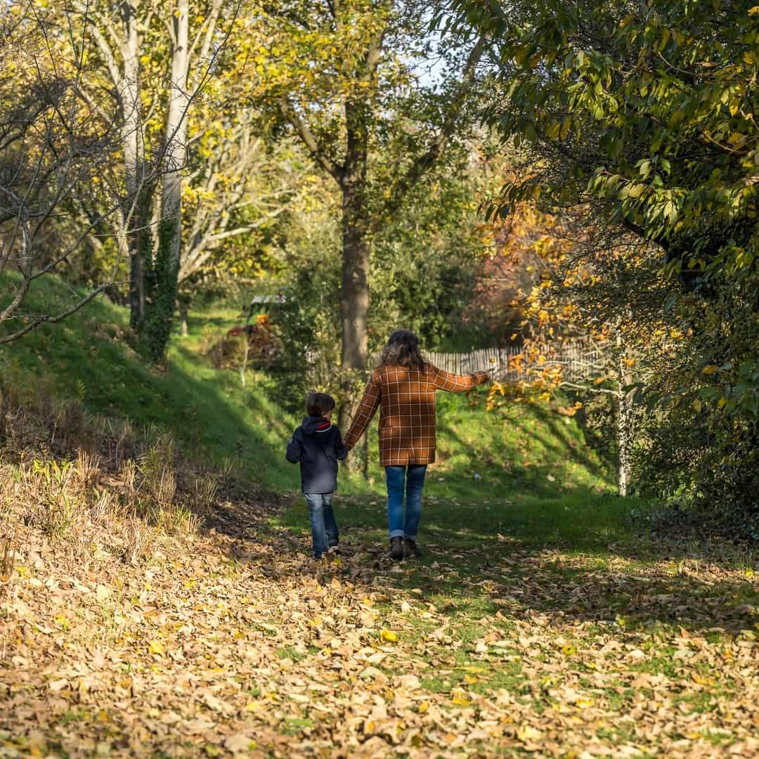 Autumn in Le Havre