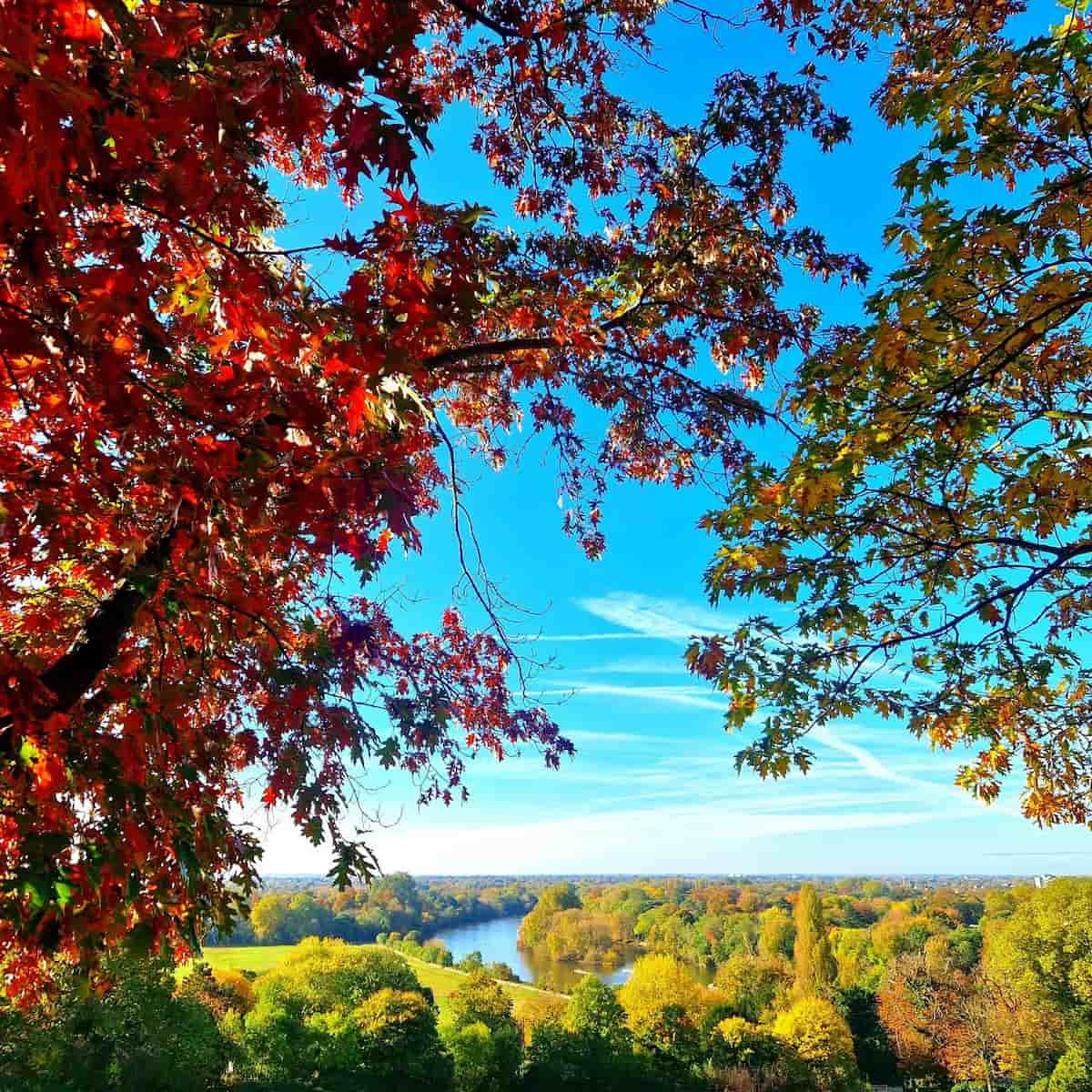 Autumn in Richmond