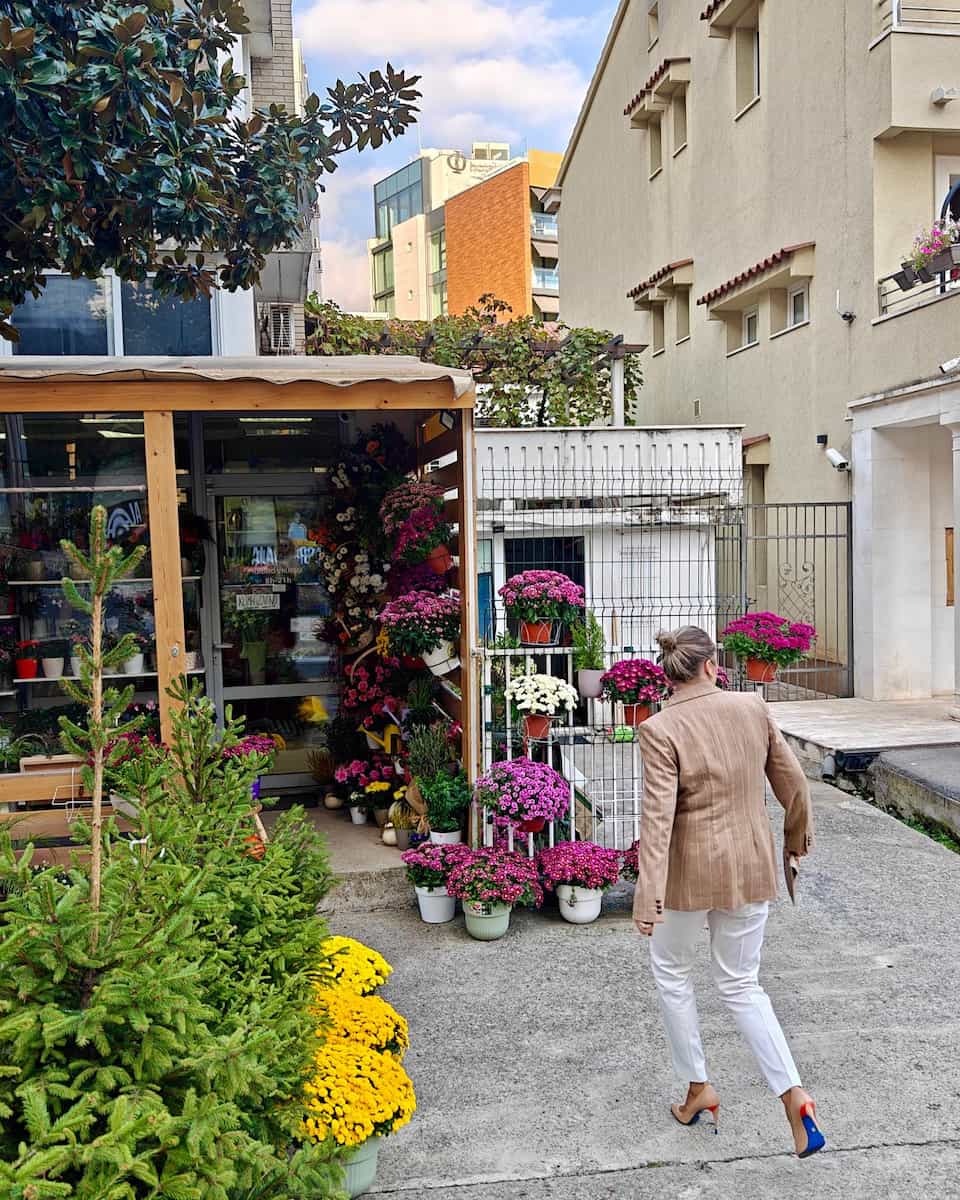 Autumn in Tivat