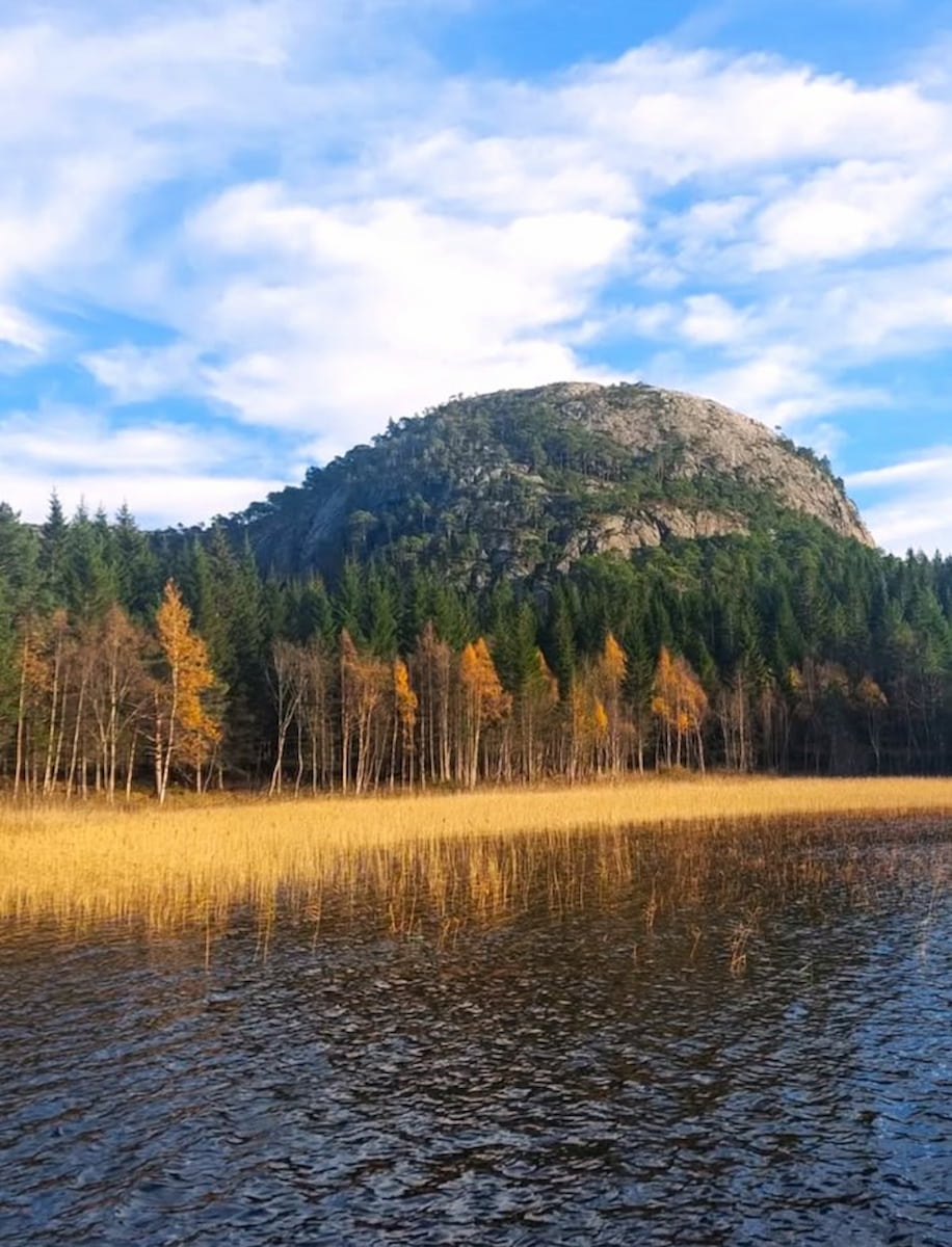 Autumn in Olden
