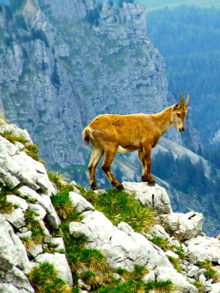 Berchtesgaden National Park, Berchtesgaden