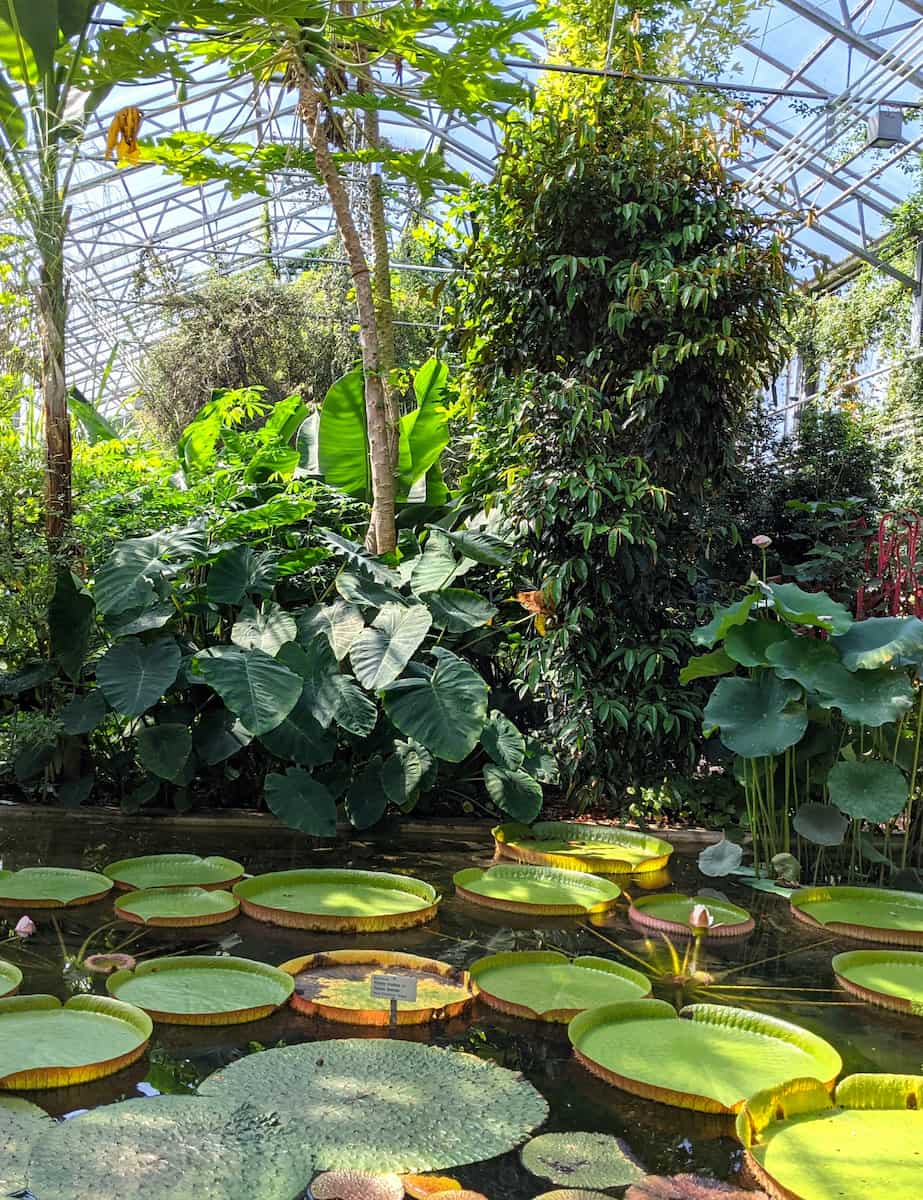 Botanical Garden St. Gallen