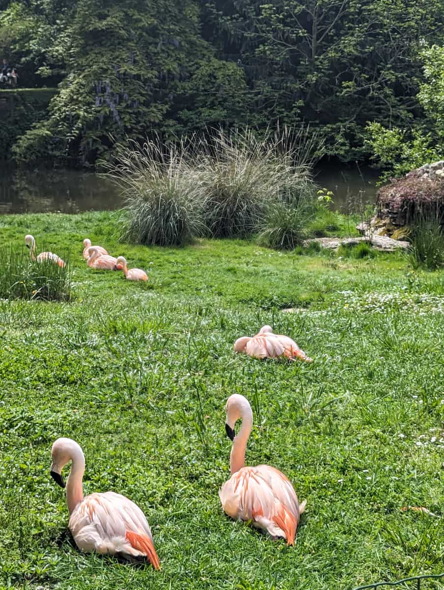 Botanical Garden Tours Loire Valley