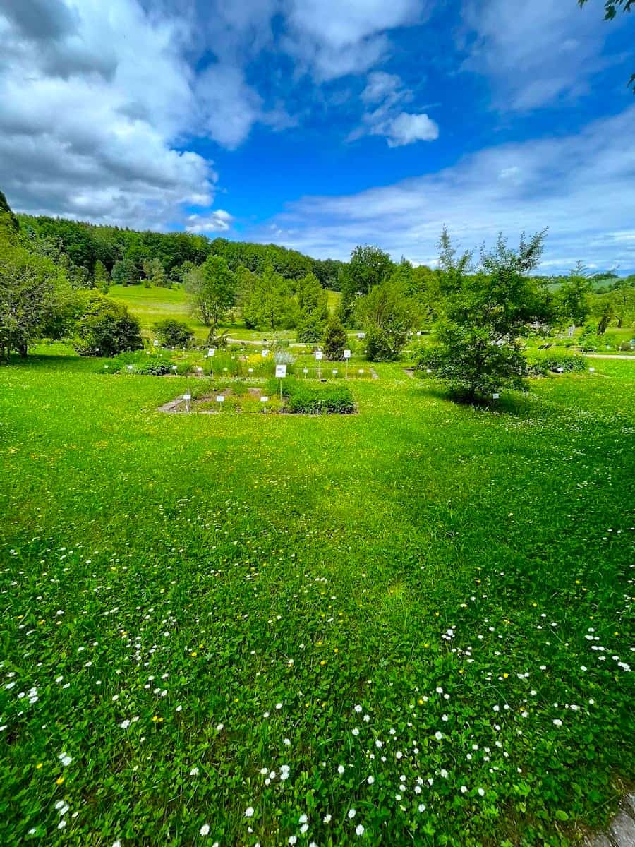 Botanical Garden of Ulm University, Ulm