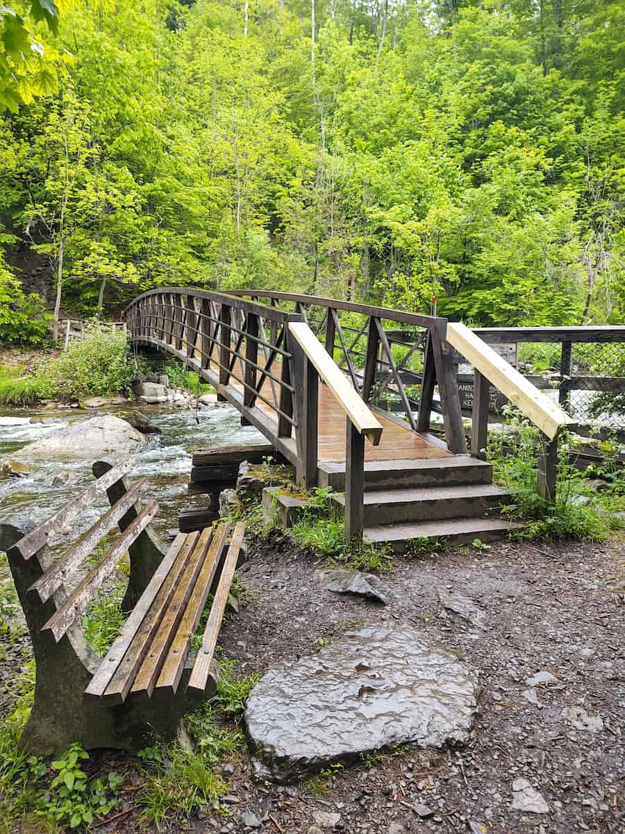 Chittenango Falls State Park, Syracuse