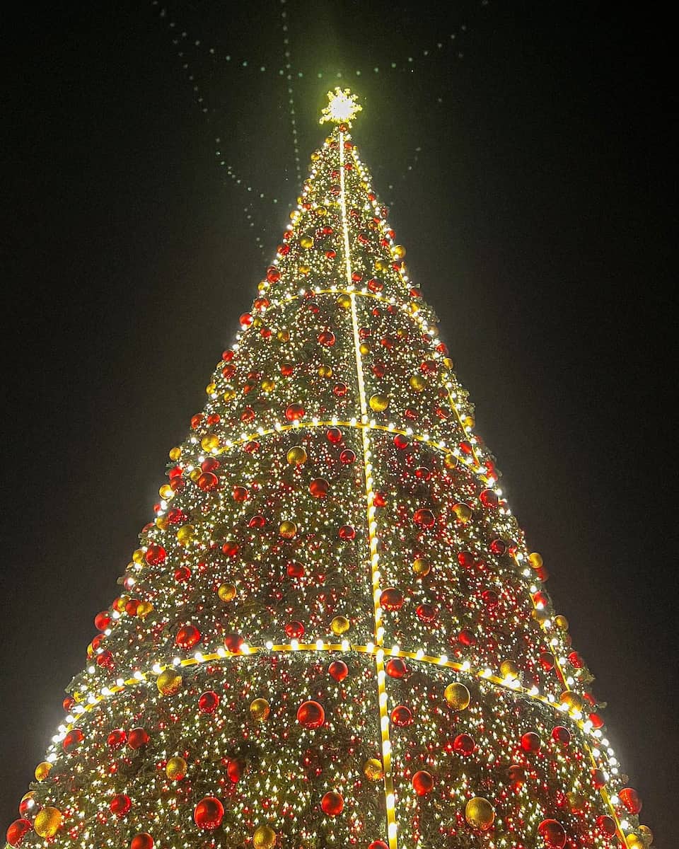 Christmas Braga