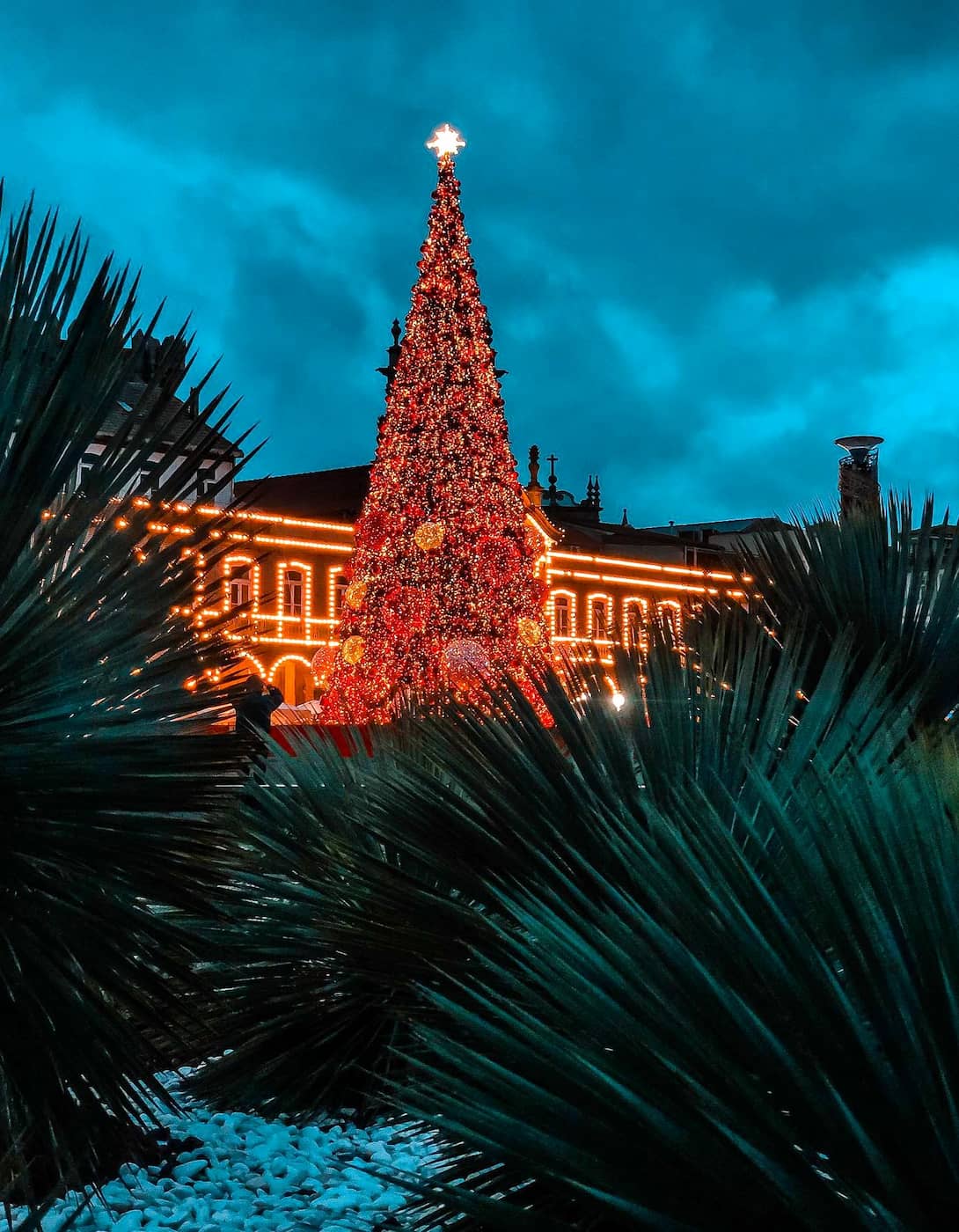 Christmas Braga