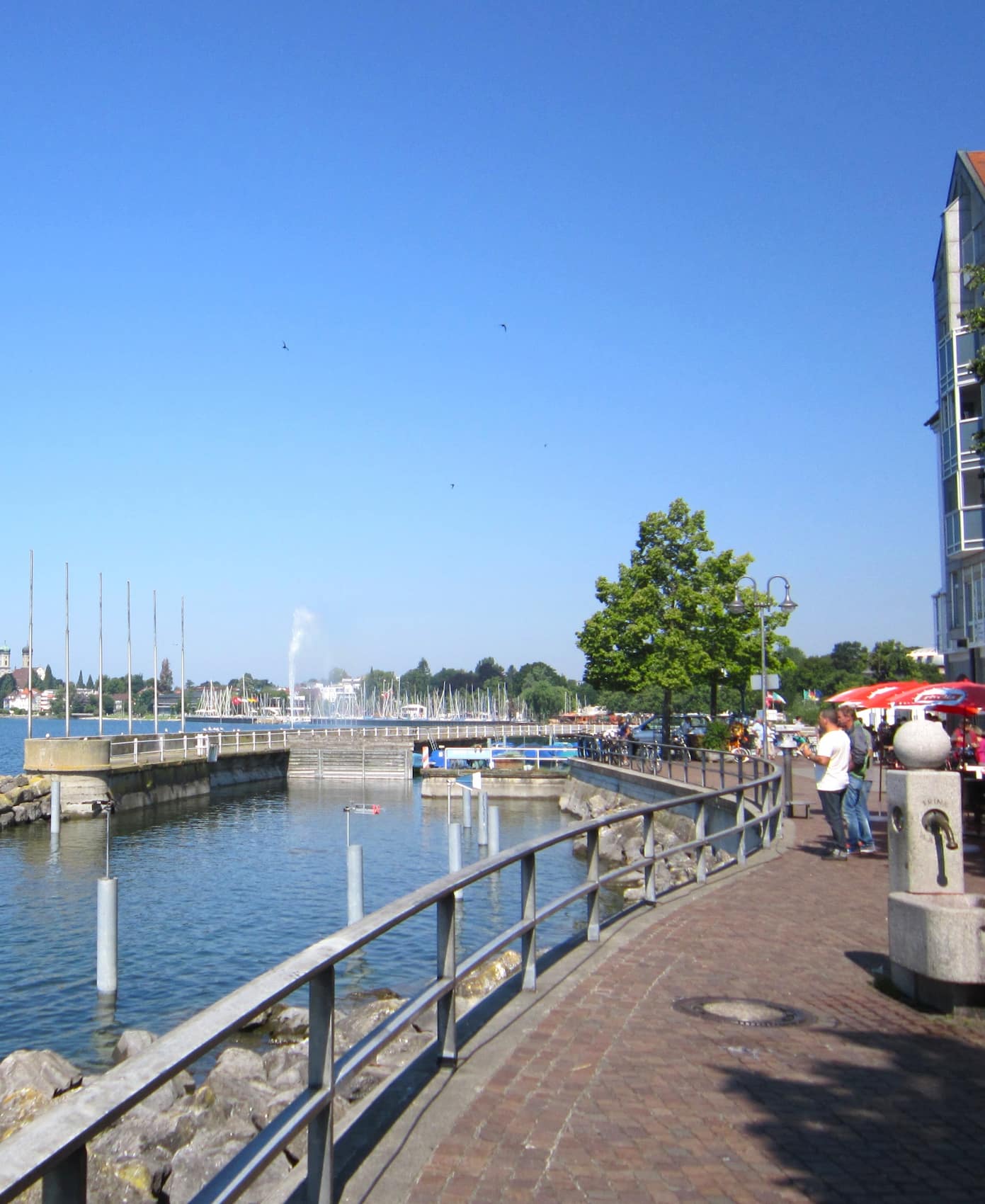 Constance Harbor