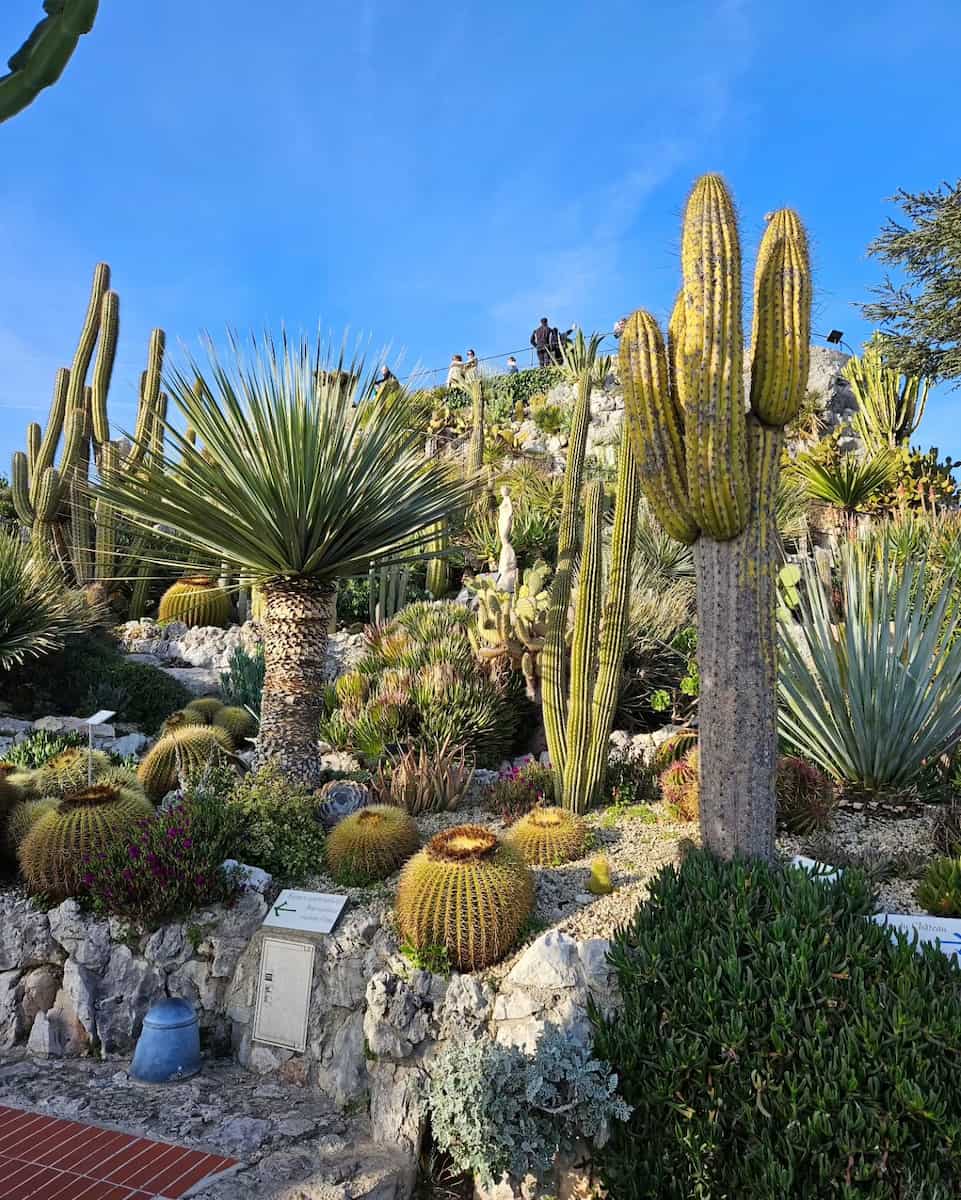 Exotic Garden Treasure Hunt
