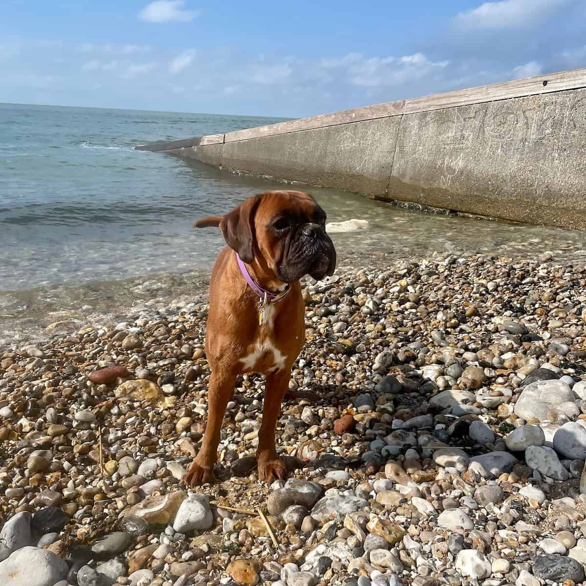 Le Havre Beach