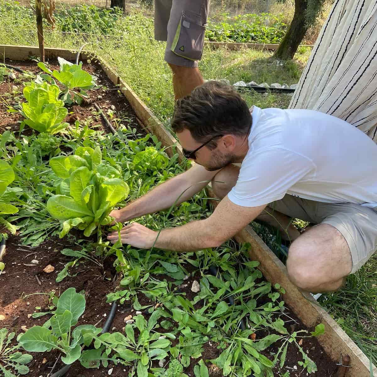 Microfarm in Nydri